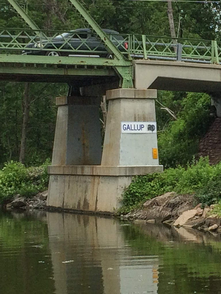 20150613b after Pittsford Gallup pole IMG_4522